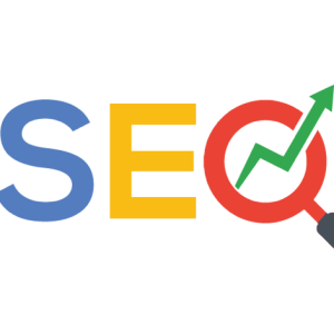 Camiseta SEO